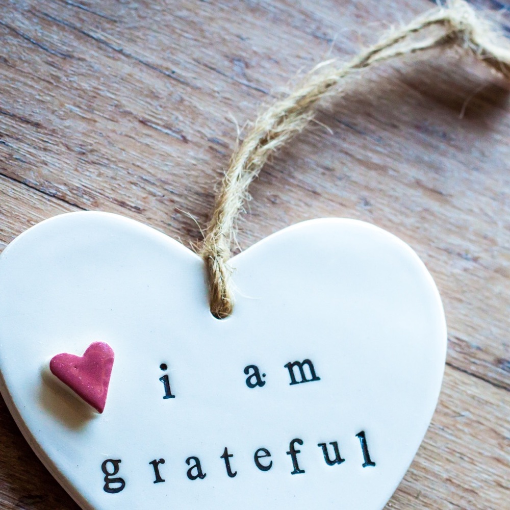 FREE SHIPPING ON ALL ORDERS $50 & up